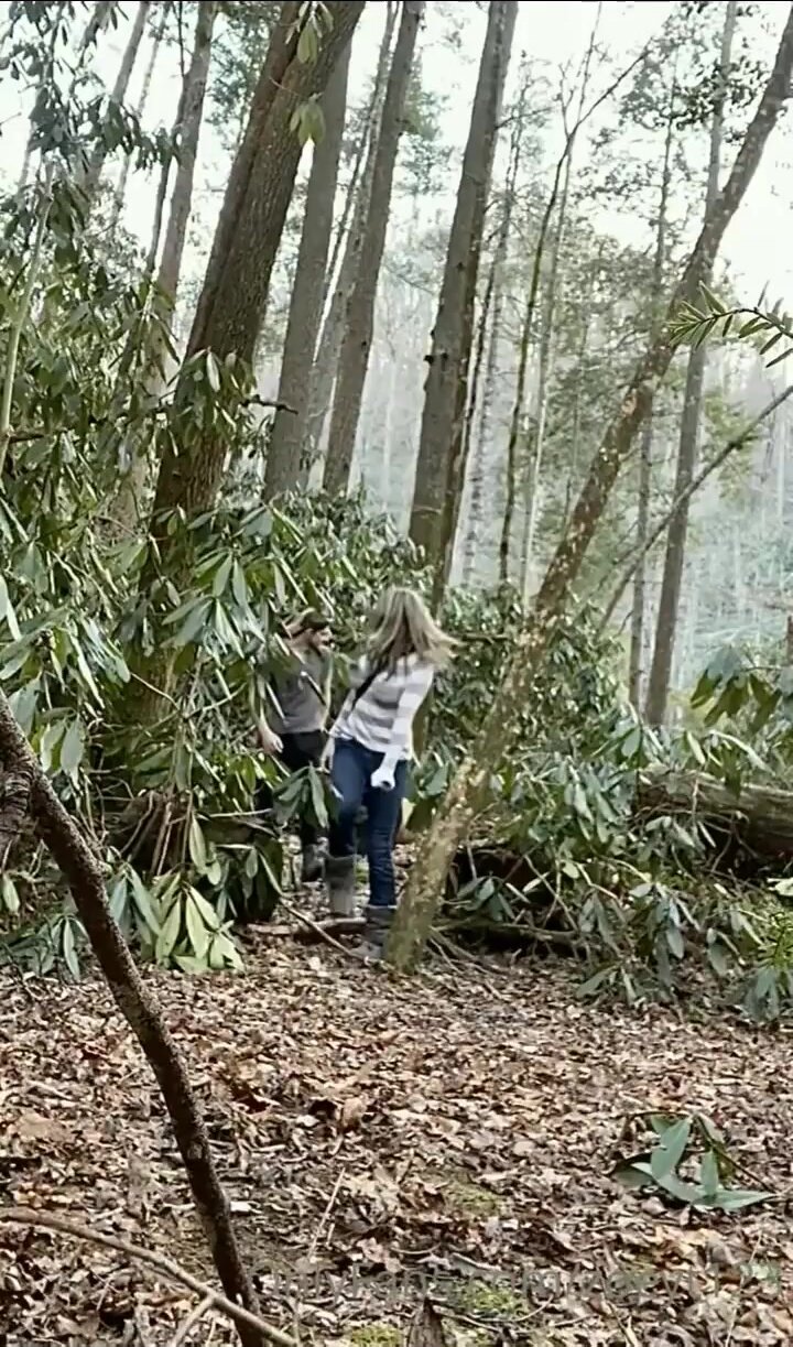 When Zoe goes on a hike