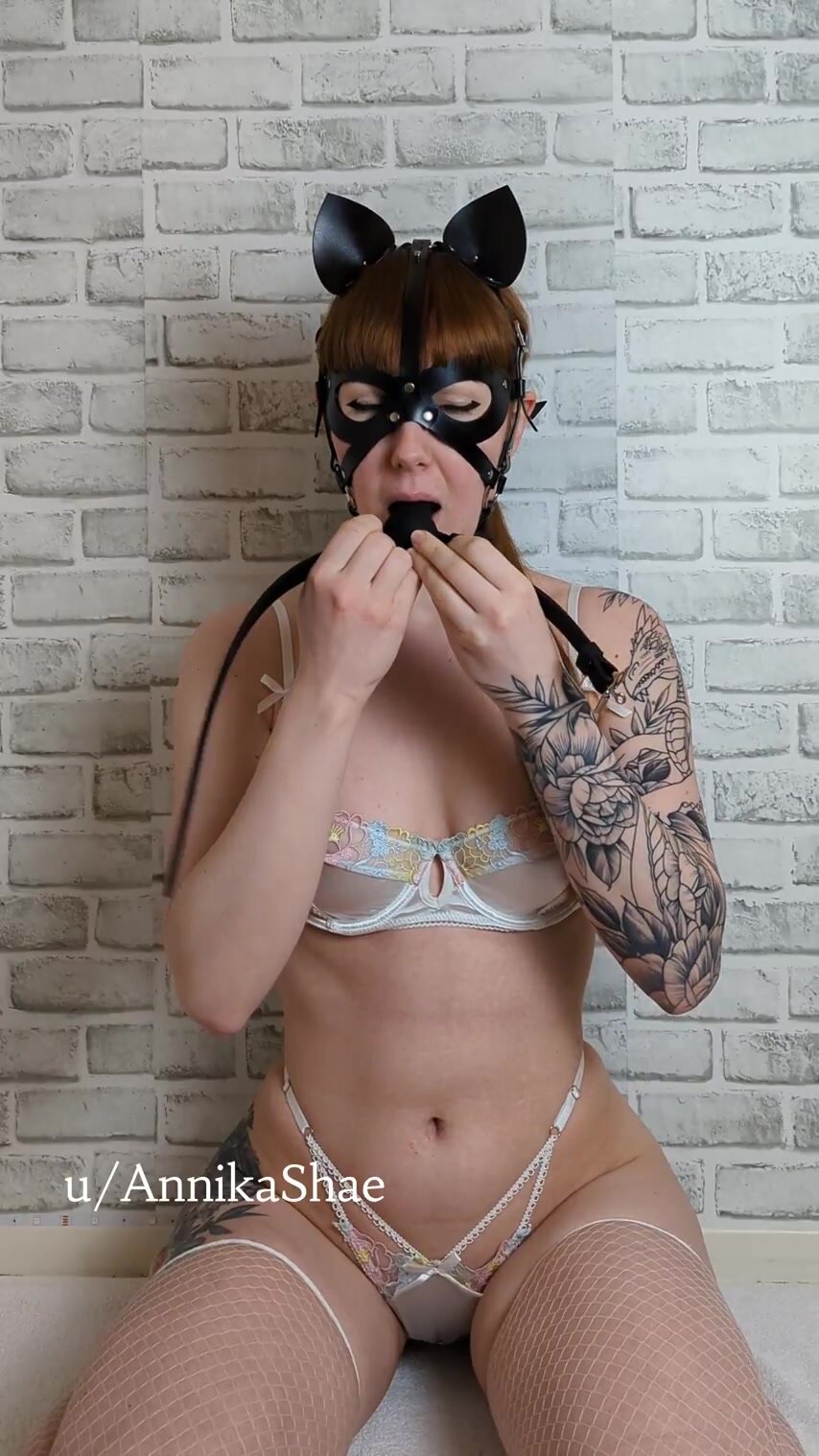 Training to be your good kitty