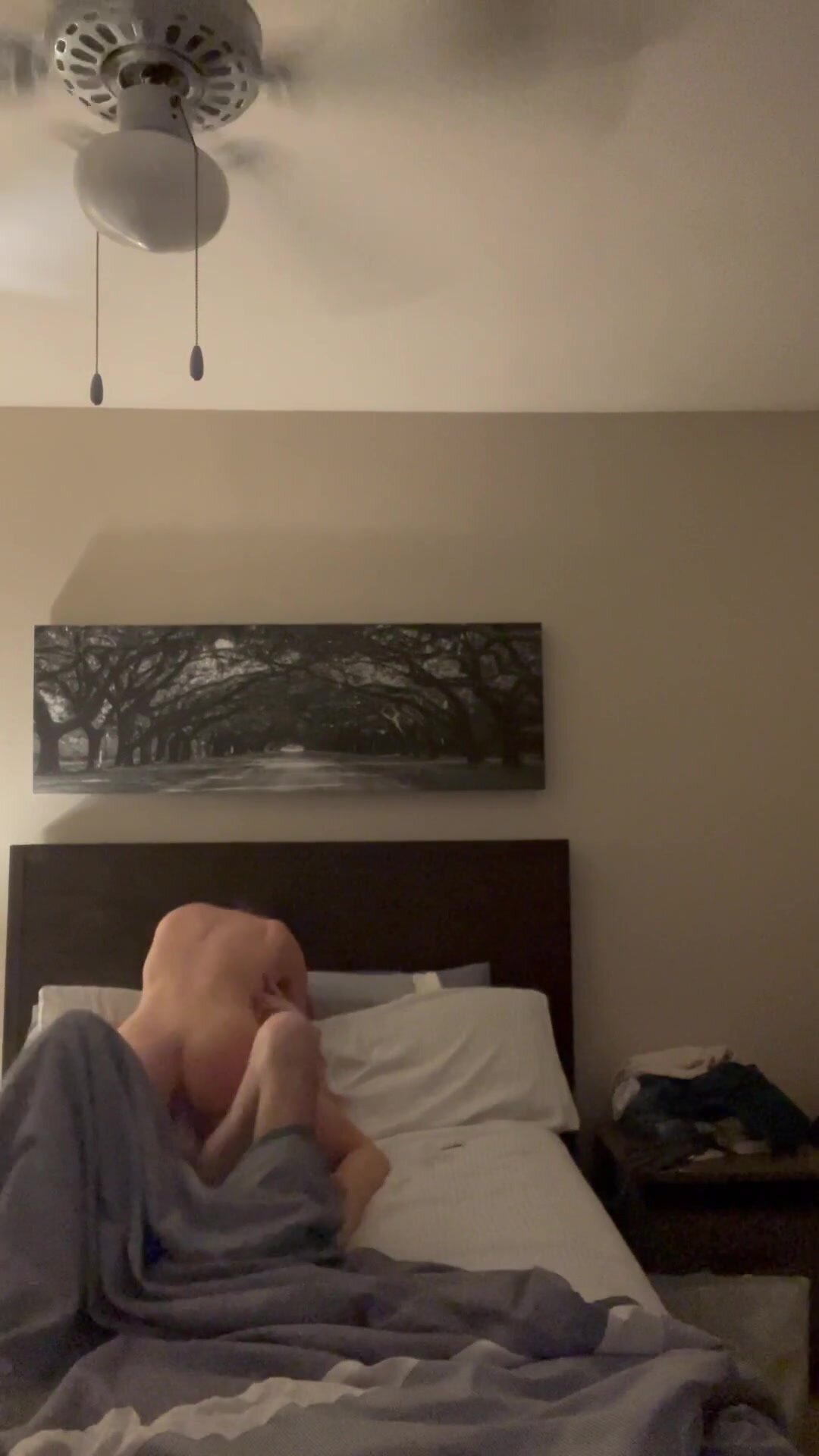 Back by popular demand