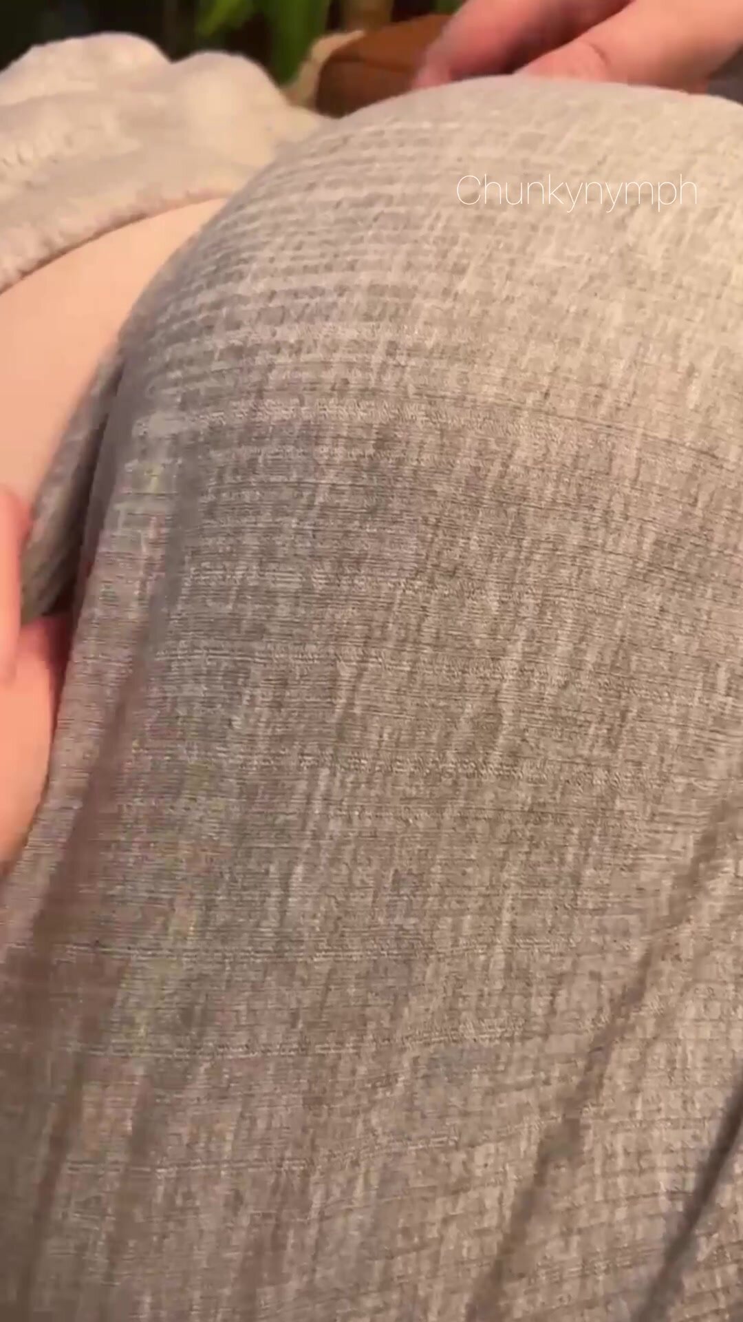 A singular Yorkshire nipple appears