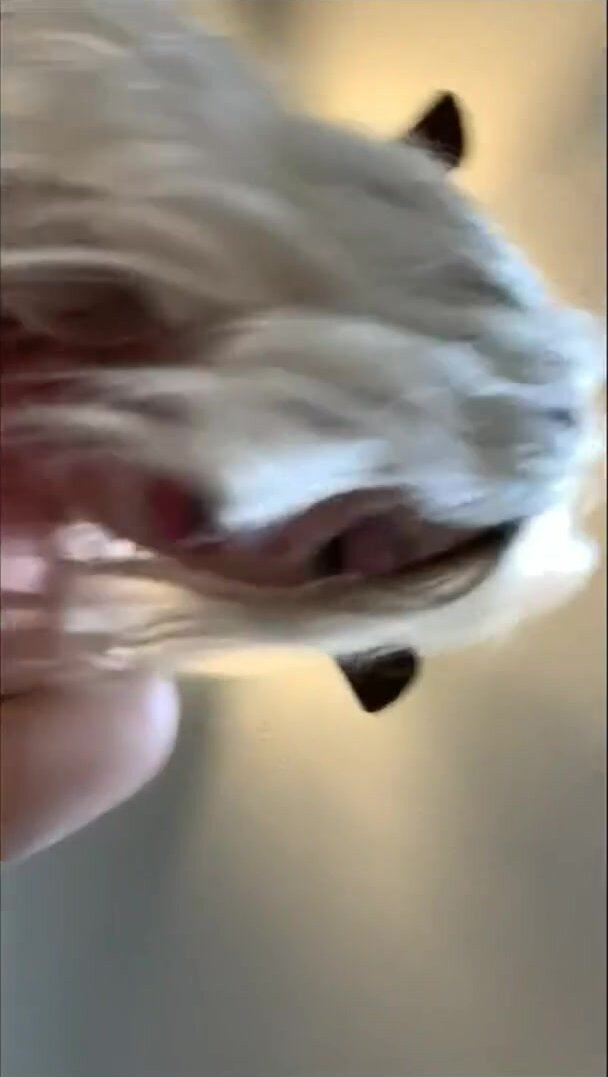 sex tape
