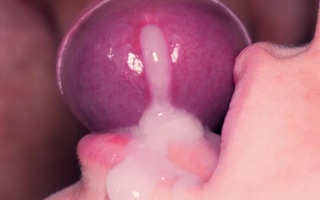 Juicy lips lick the head of the  penis while the guy  moans.