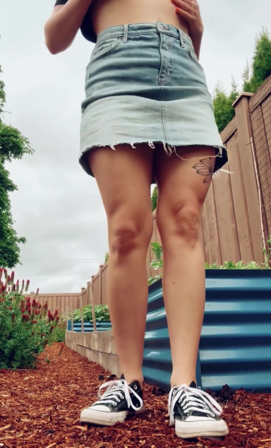 A little afternoon garden fountain for your enjoyment.