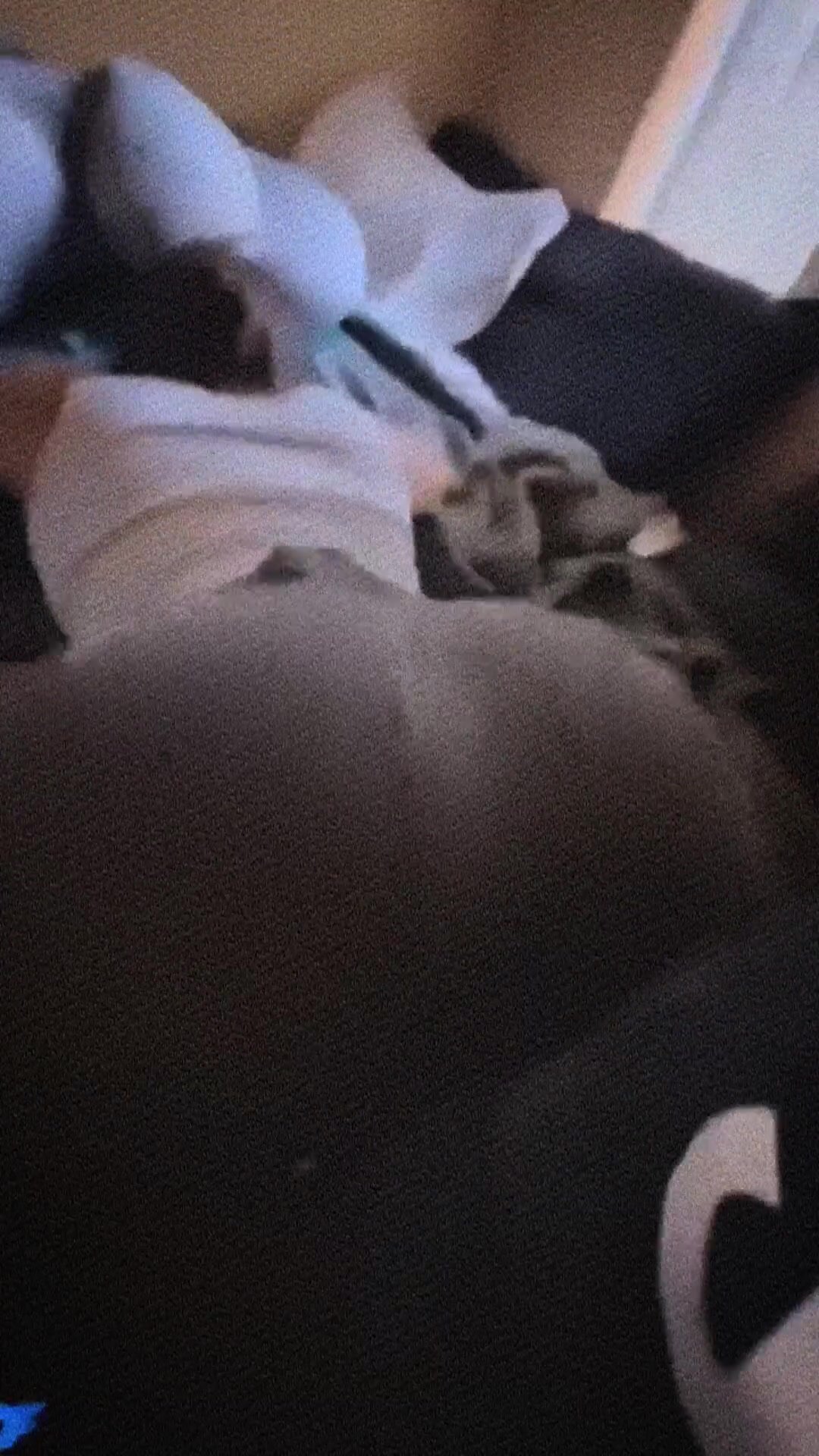 at first your girl told him she’d never cheat on you…that was before she saw his big black cock