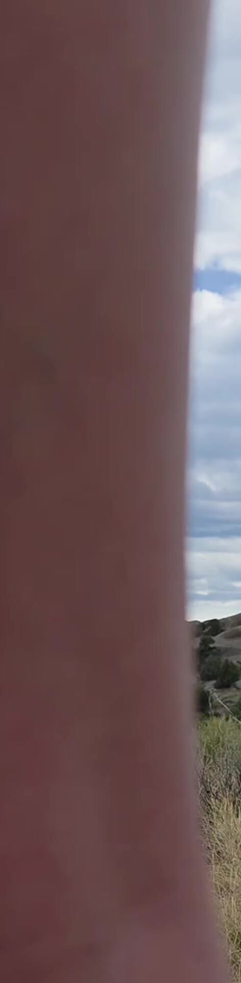 Find a redhead and take a walk on the wild side