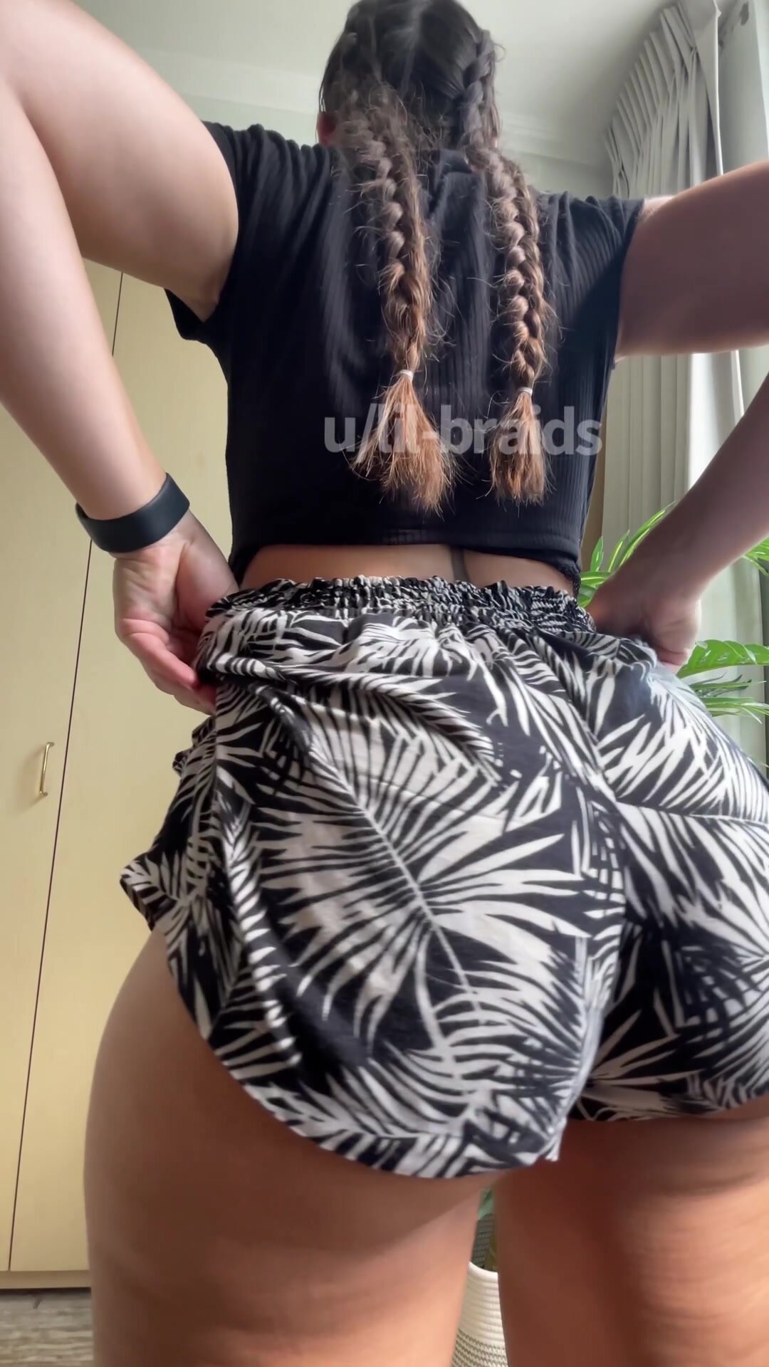 Pawgs are the best