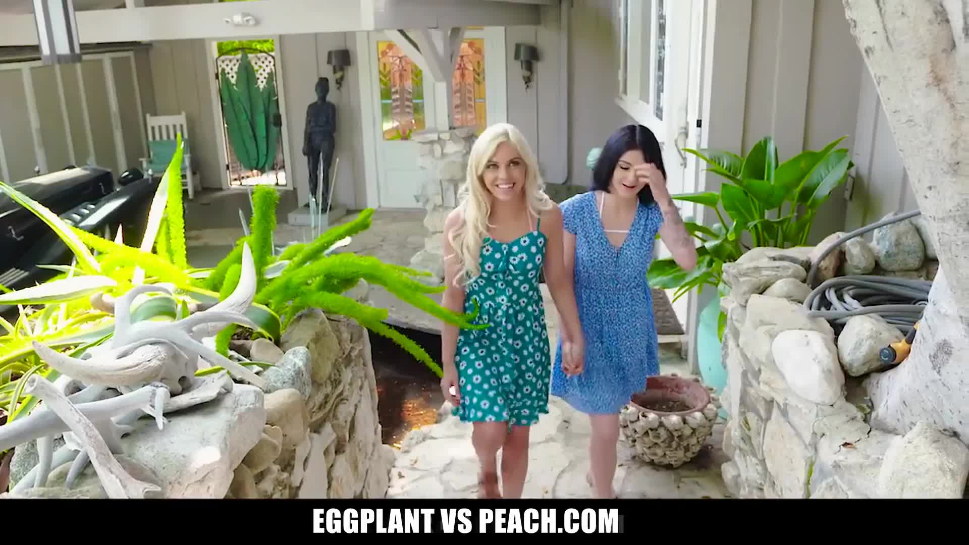 Not a bad introduction.