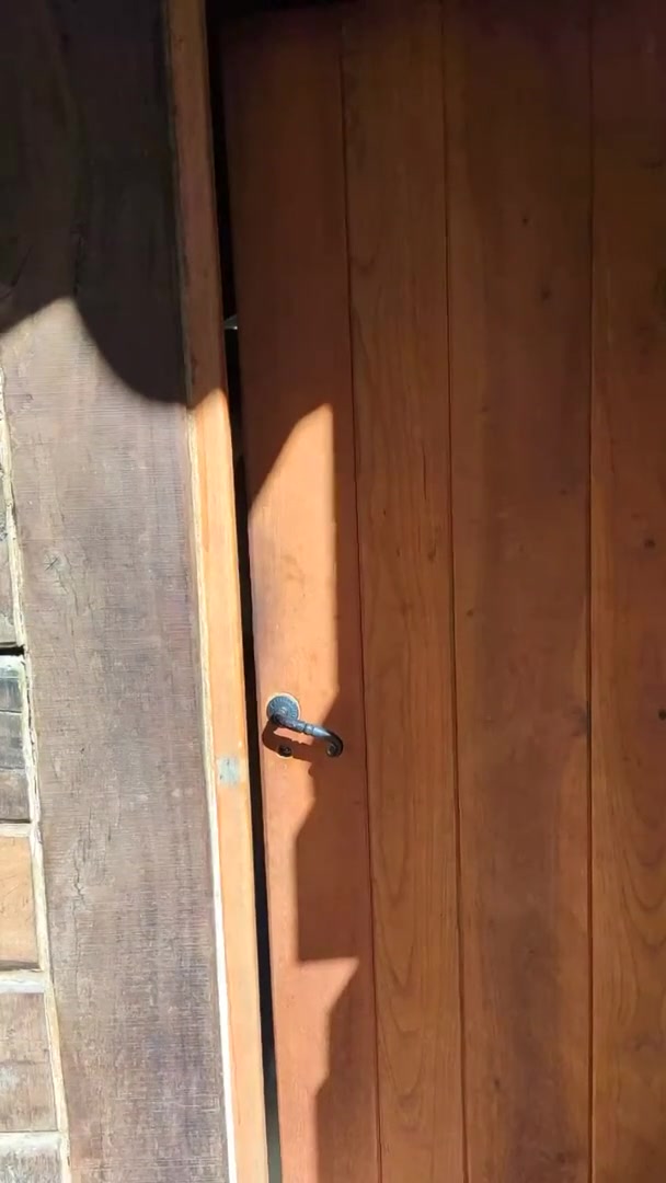 In a cabin, one weekend! Would you like it?