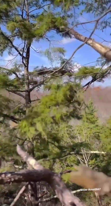 i love showing off outdoors !