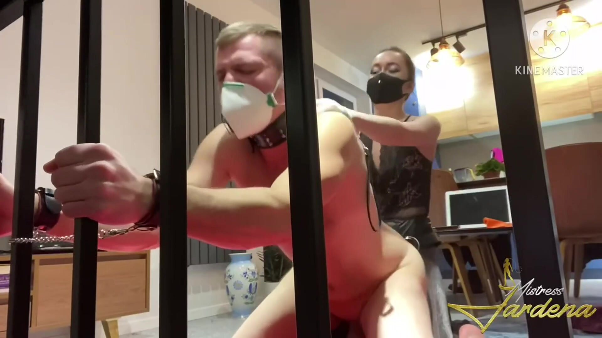 Time for your training my pet